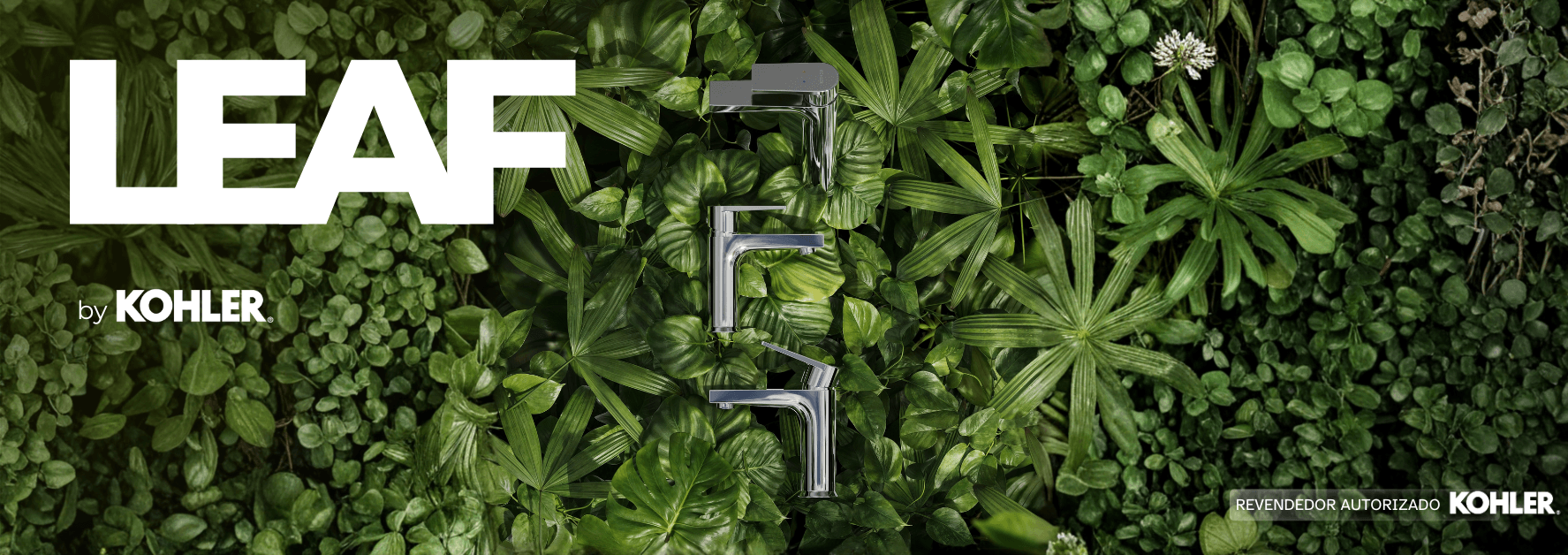 titulo 1420 x 502 px